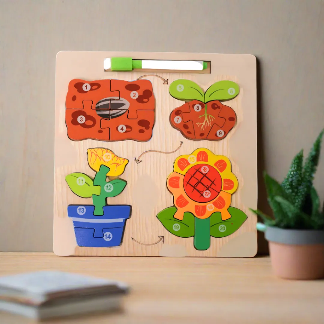 2 in 1 Puzzle-Lifecycle of Flowers  Whiteboard, marker(Medium)-Random design will be send