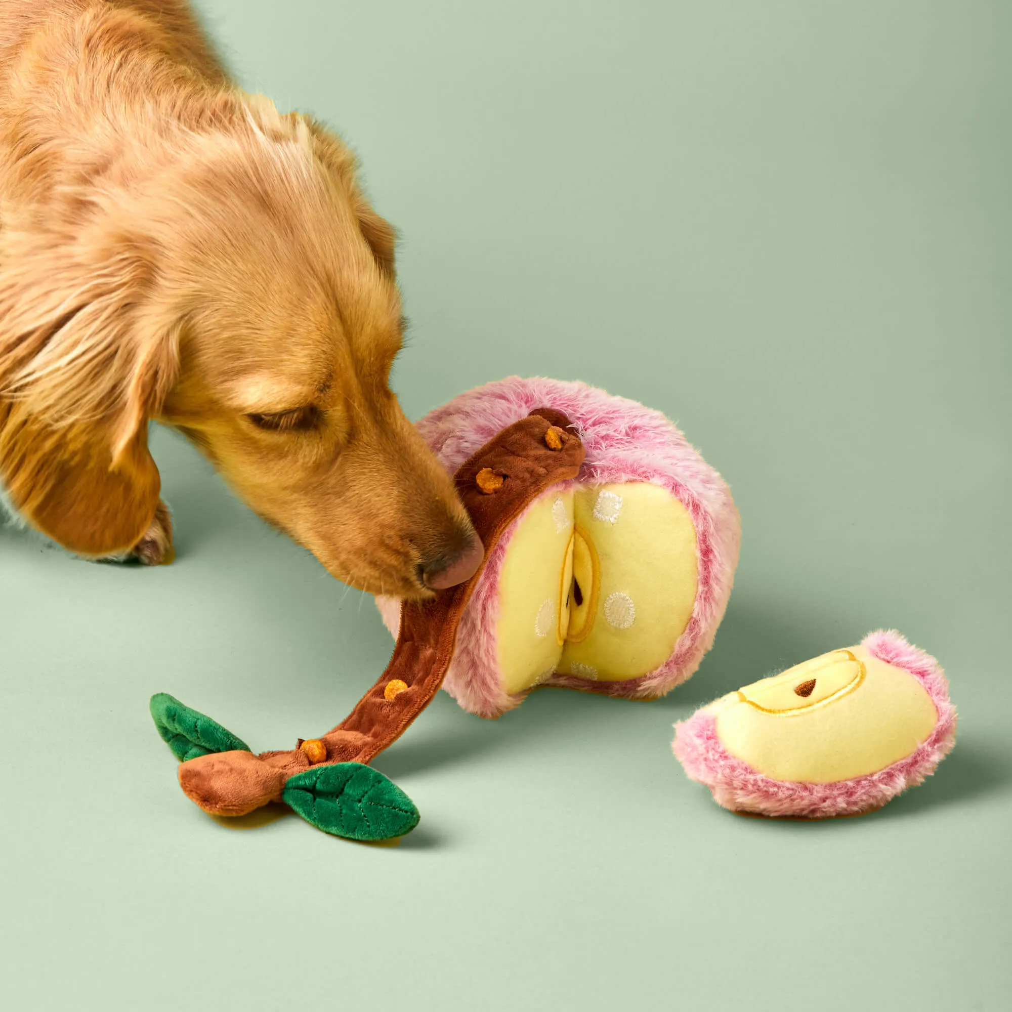 Apple Interactive Snuffle Dog Toy