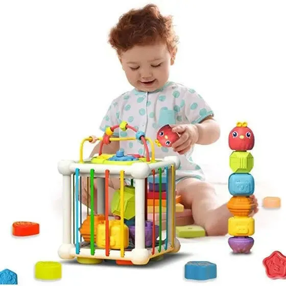 Baby Shape Sorter Montessori Toy