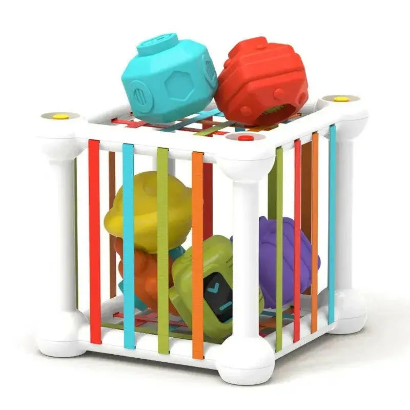 Baby Shape Sorter Montessori Toy