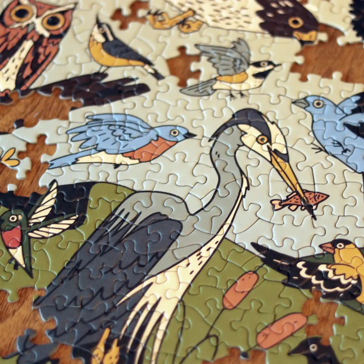 Birds of Eastern North America Puzzle