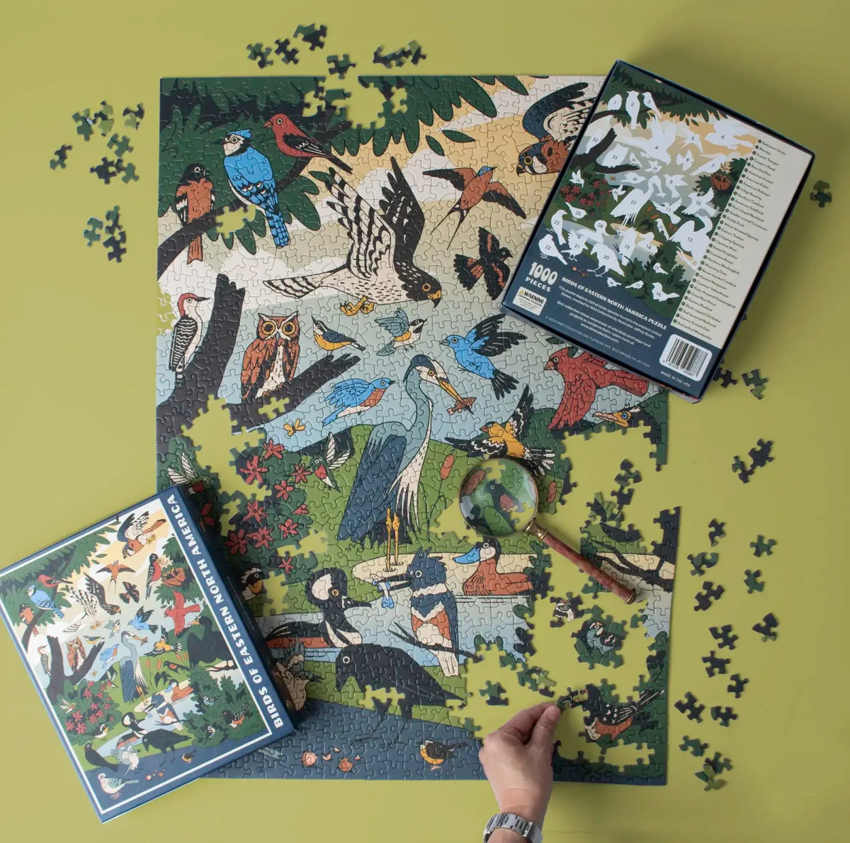 Birds of Eastern North America Puzzle