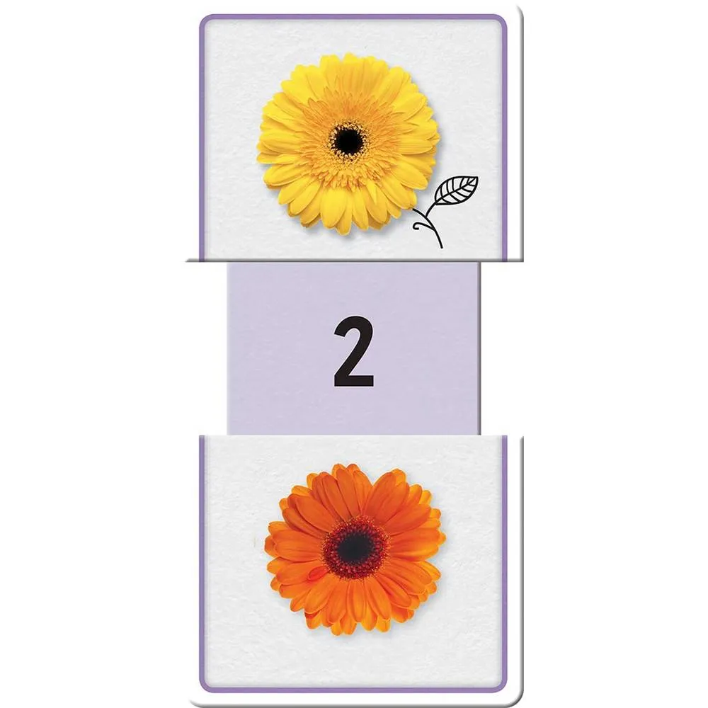 Building Blocks Slide & Learn Numbers Flash Cards