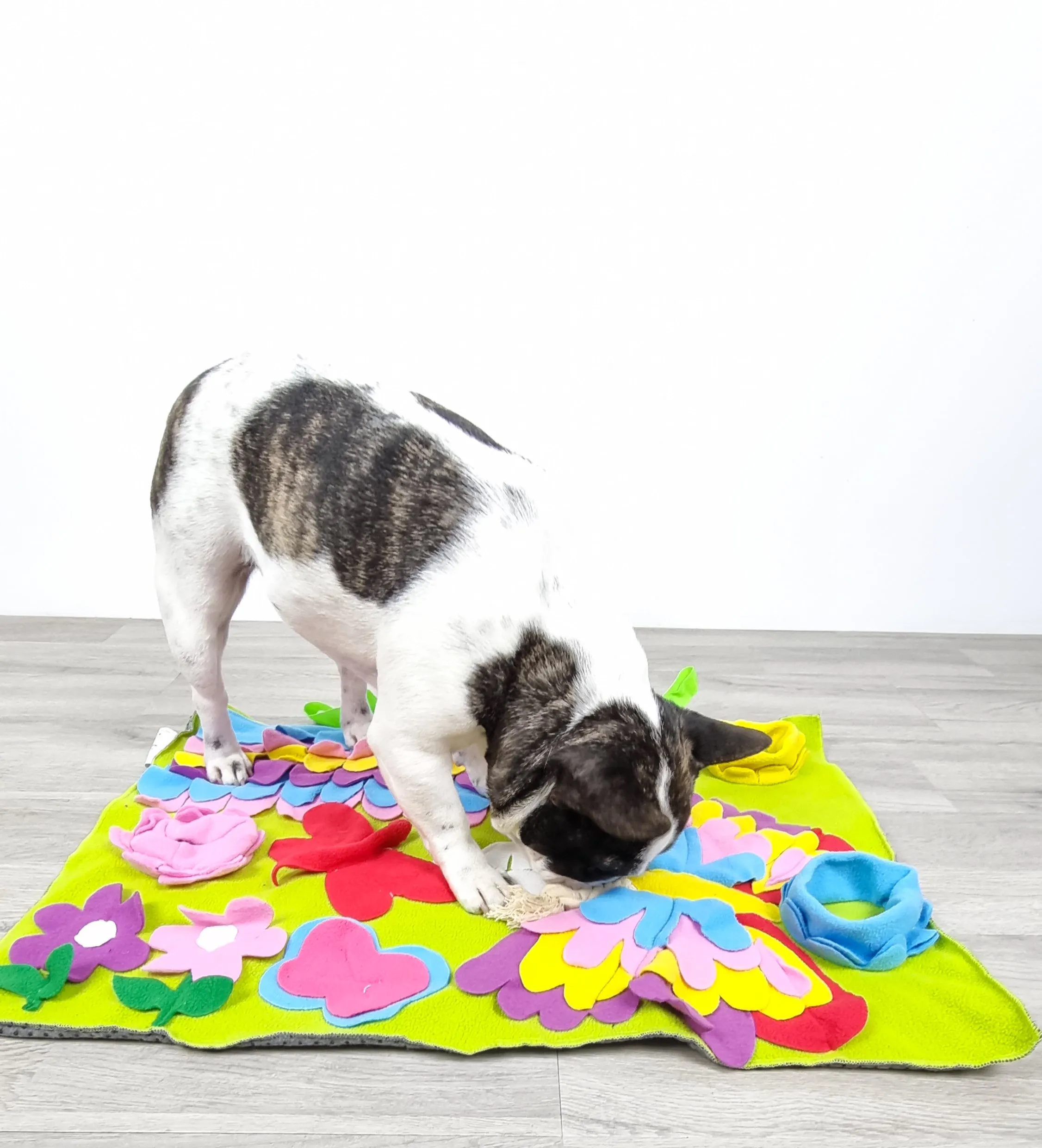 Butterfly Garden Snuffle Mat