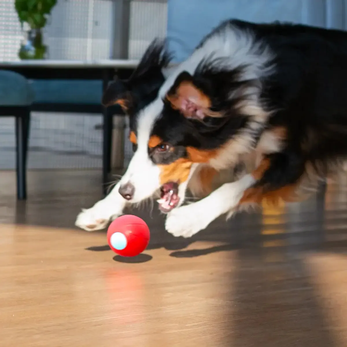 Curatepet Smart Wicked Ball PE Dog Toy