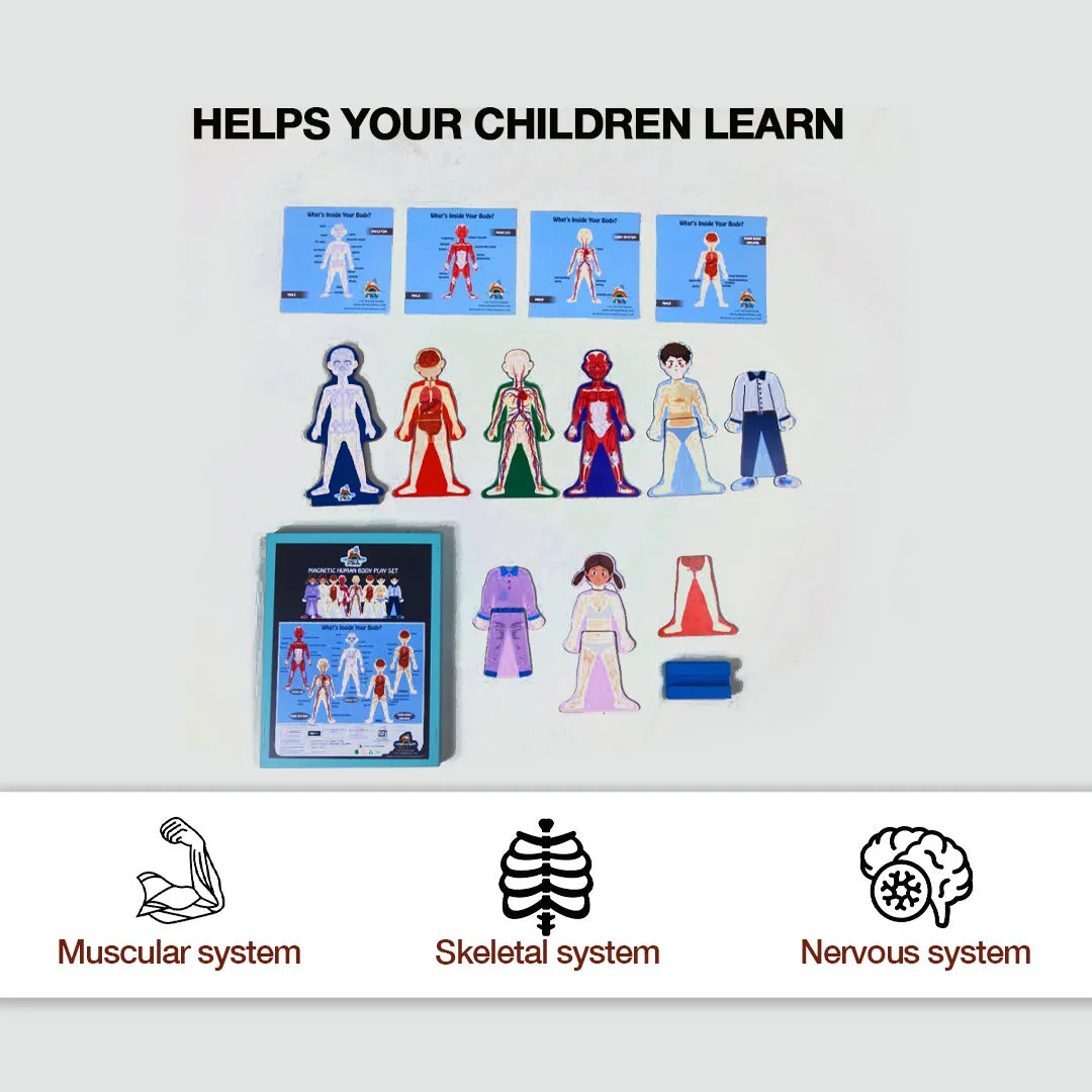 Eduspark Magnetic Human Body Play Set