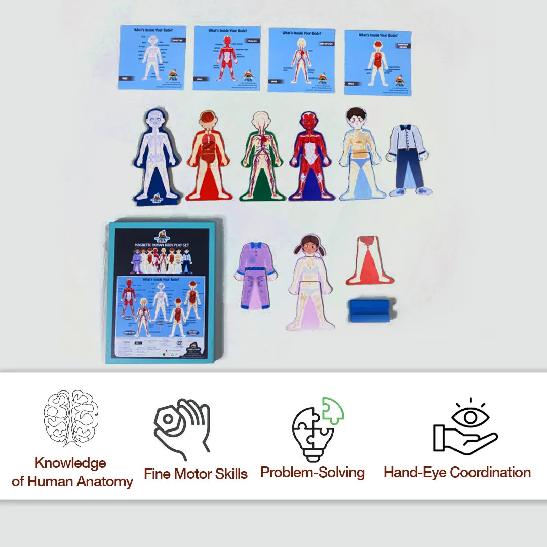 Eduspark Magnetic Human Body Play Set