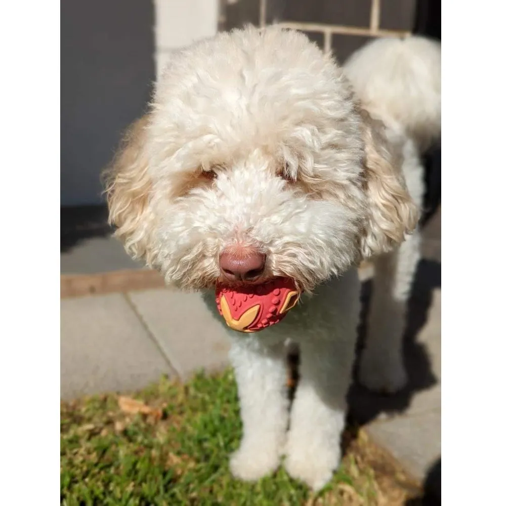 Egg Enrichment Ball