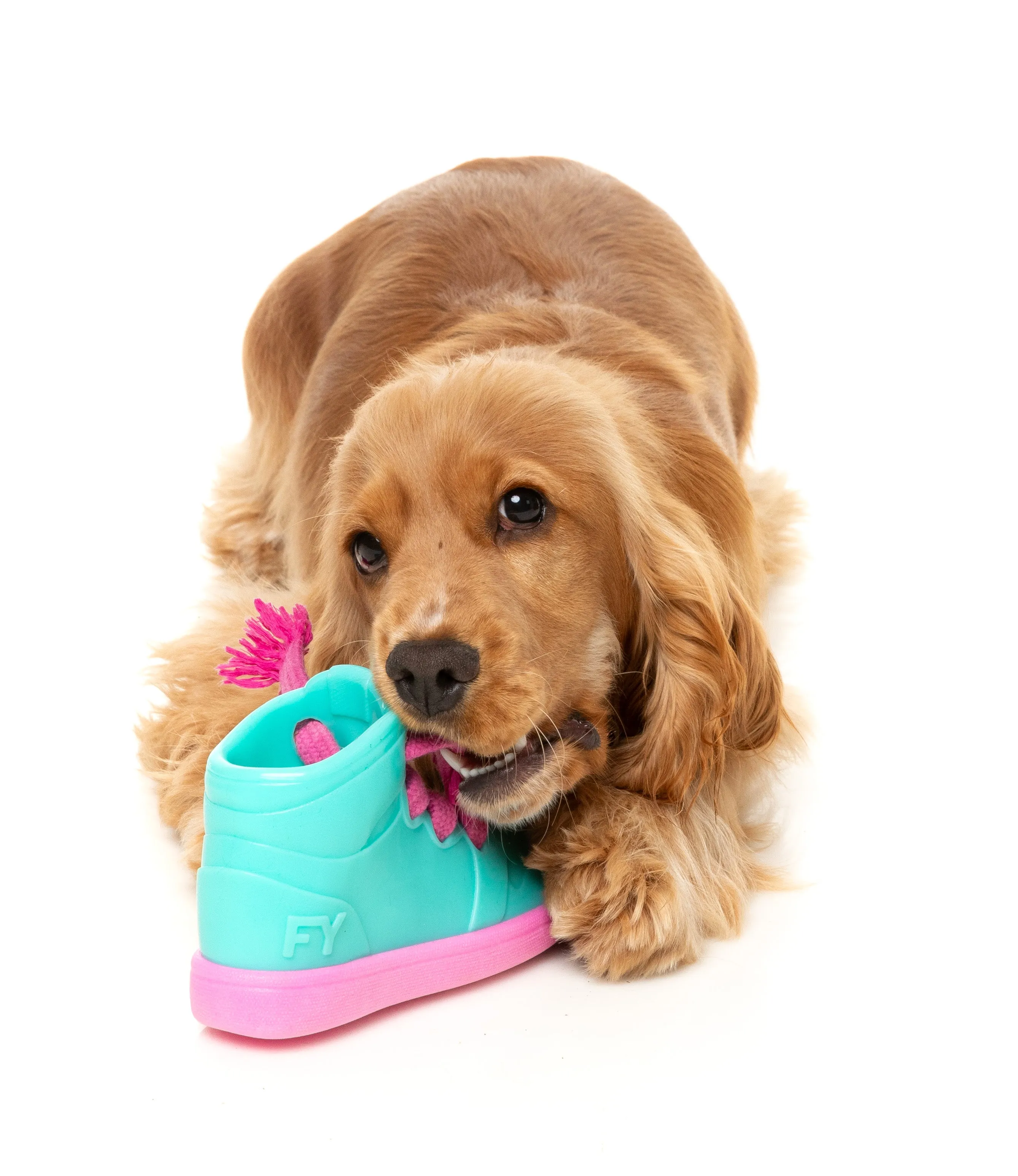 Sure! Heres an optimized title for the product:

FuzzYard Fresh Kicks & Licks Interactive Dog Toy - Durable & Fun