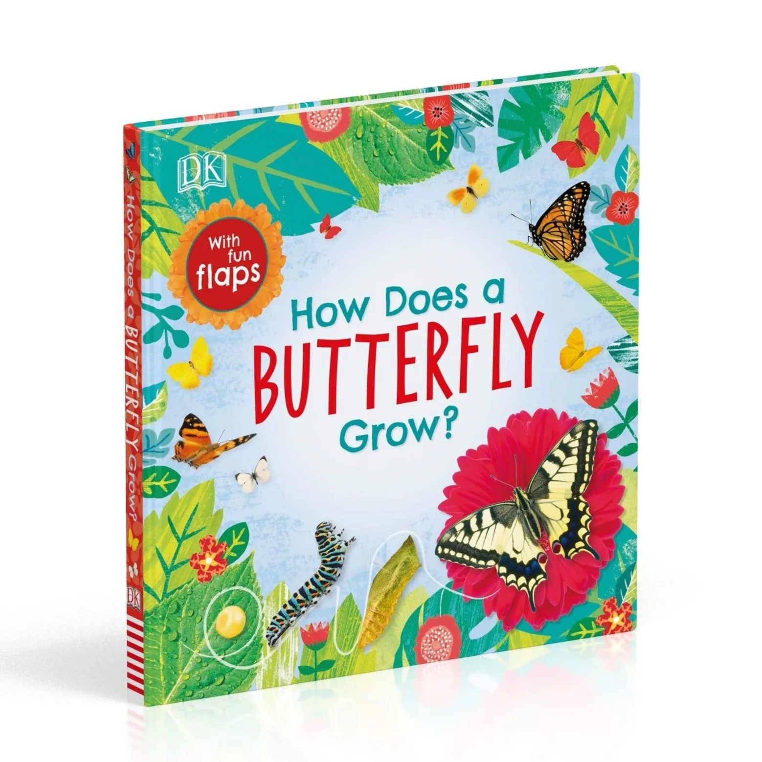 How Does a Butterfly Grow?