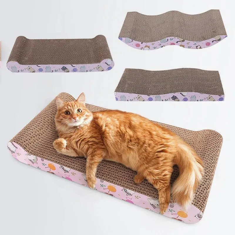 Interactive Kitten Cat Scratching Board