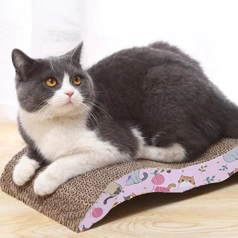 Interactive Kitten Cat Scratching Board