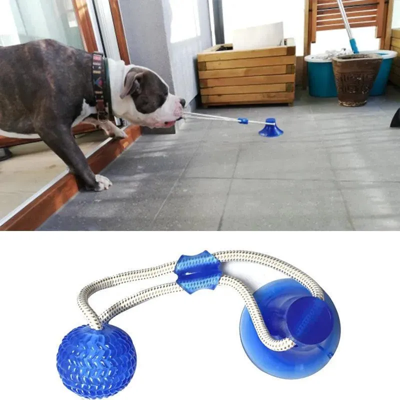 Interactive Suction Cup Dog Toy with TPR Ball