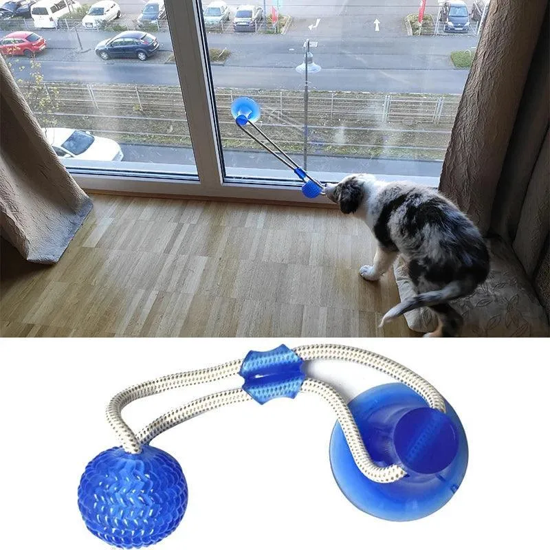 Interactive Suction Cup Dog Toy with TPR Ball