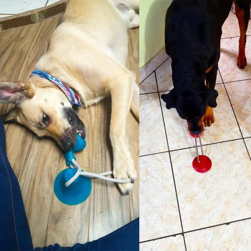 Interactive Suction Cup Dog Toy with TPR Ball