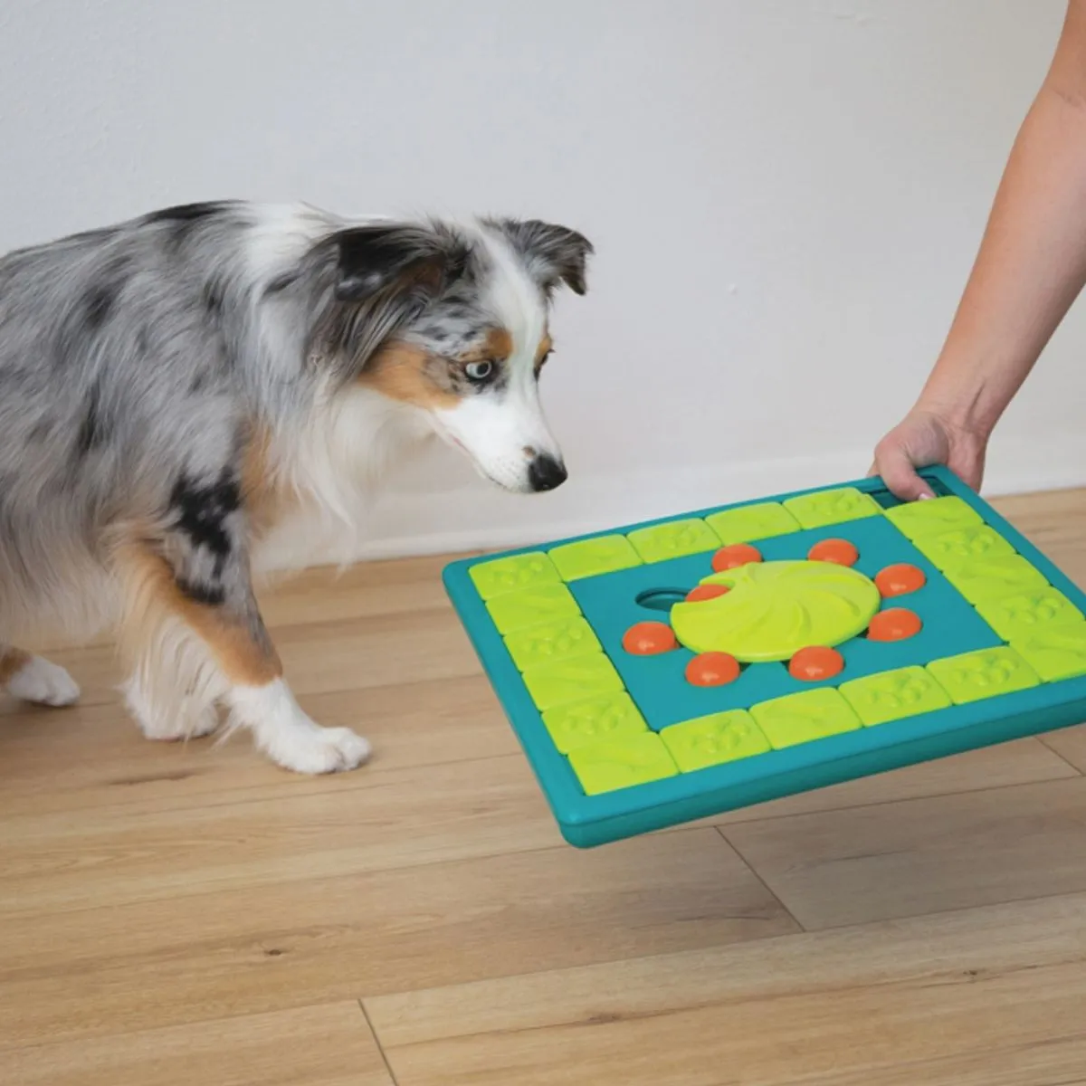 Multi Puzzle Dog Game - Highly Skilled