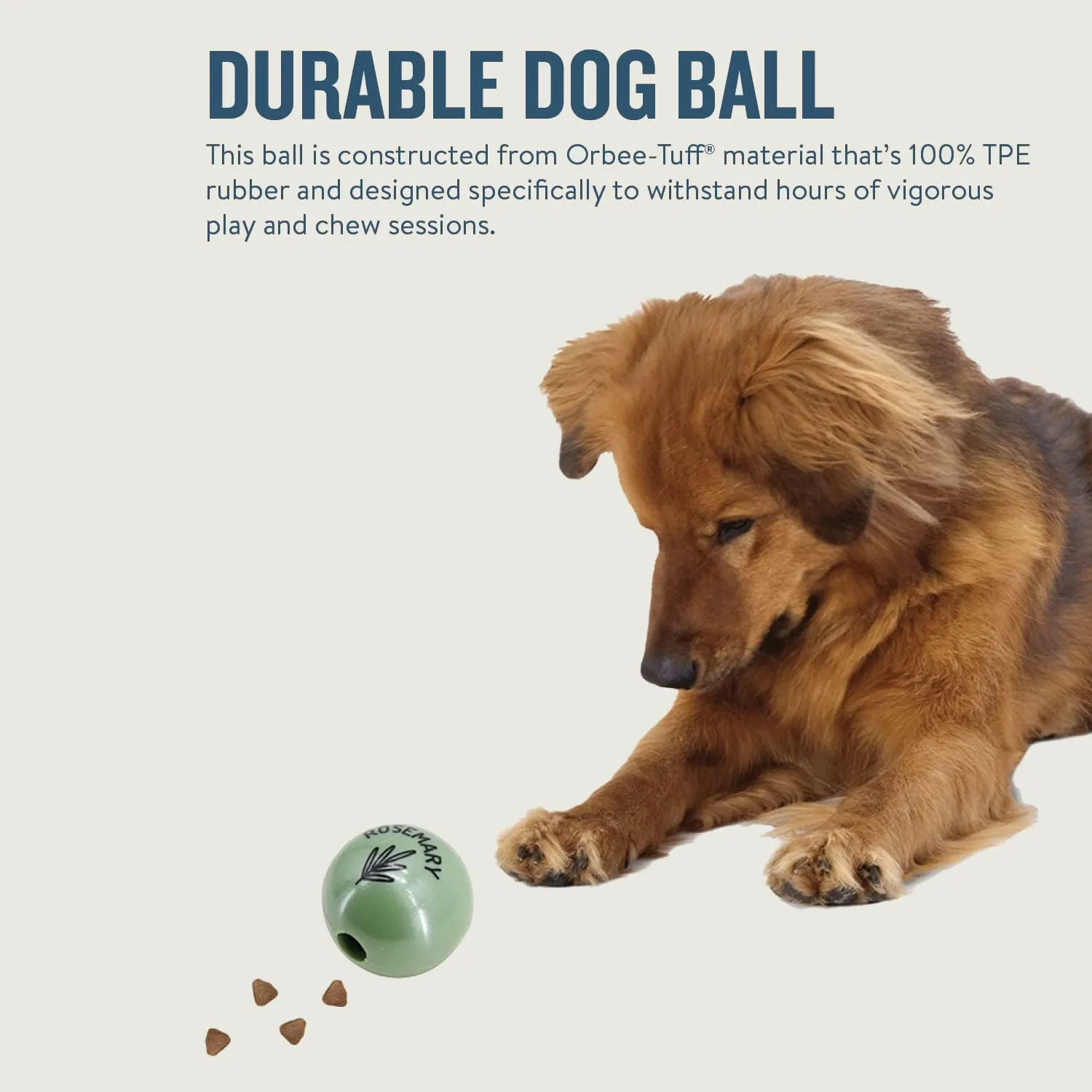 Orbee-Tuff Essentials Dog Ball