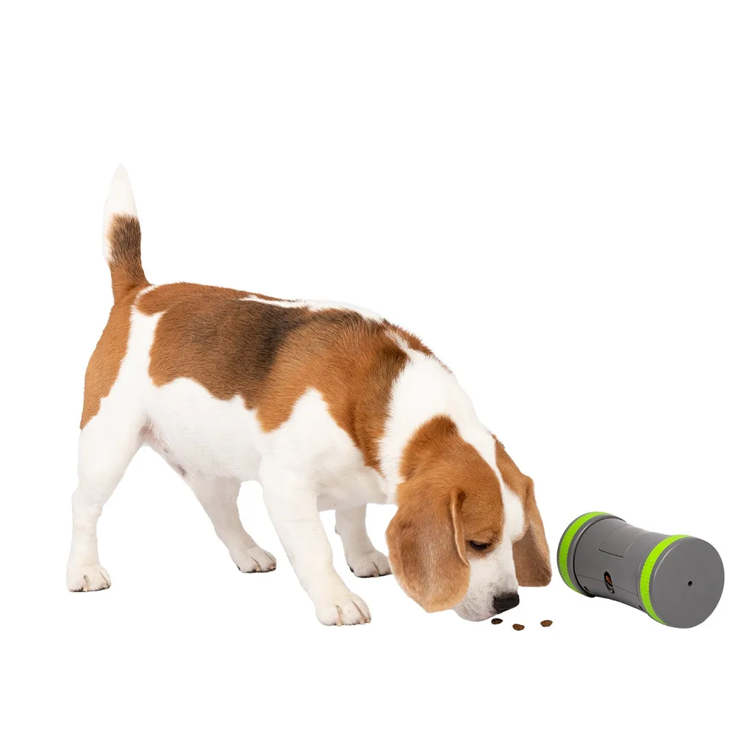 PetSafe® Kibble Chase™ Roaming Treat Dispenser