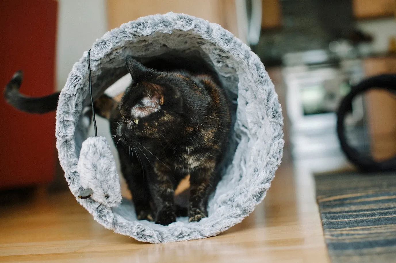 Purr & Pounce Cat Tunnel