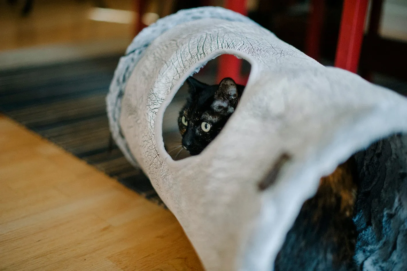 Purr & Pounce Cat Tunnel