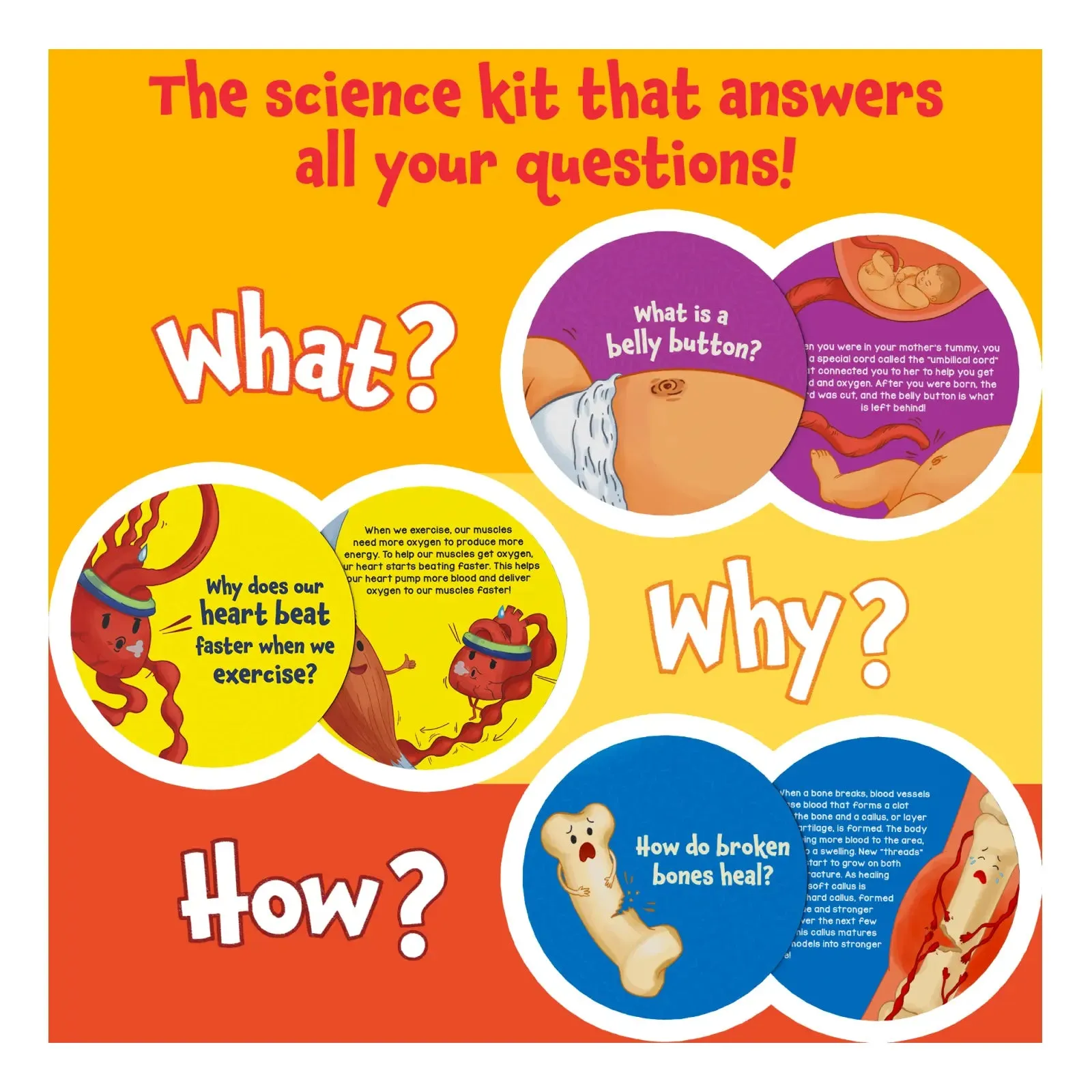 Science Snippets Kit - The Human Body (Ages 7 )