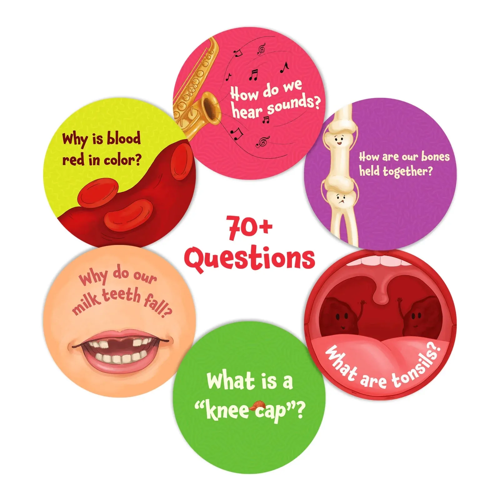 Science Snippets Kit - The Human Body (Ages 7 )