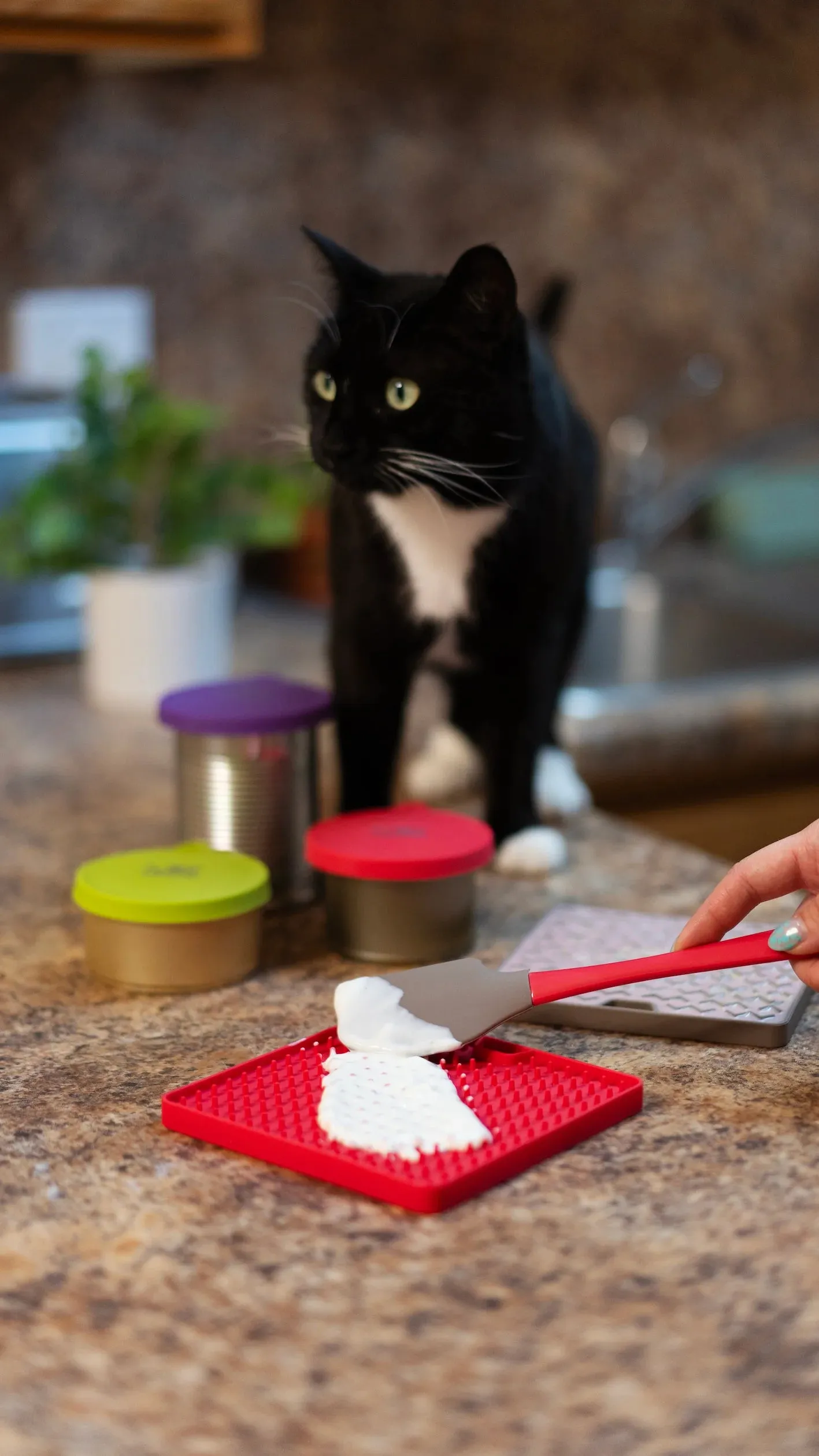 Silicone Reversible Interactive Cat Licking Mat