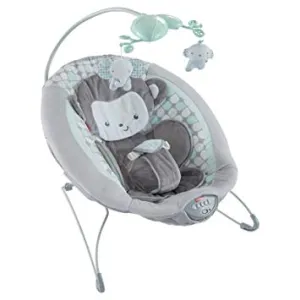 Sweet Surroundings Monkey Deluxe Bouncer