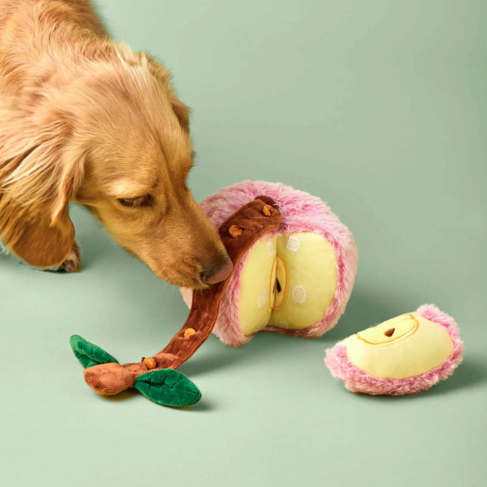 The Foggy Dog Apple Snuffle Toy